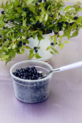 Similar image 1785275