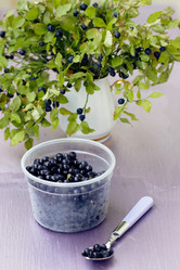 Similar image 1785276