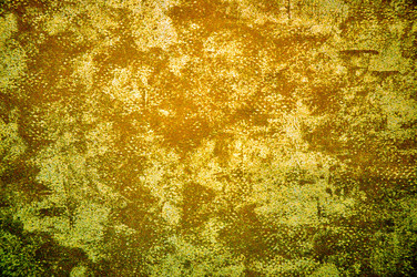 Similar image 1785279