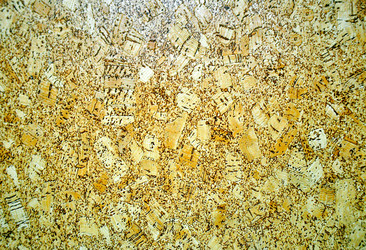 Similar image 1785284