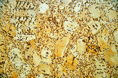 Similar image 1785285