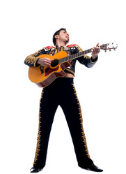 Similar image 1785325