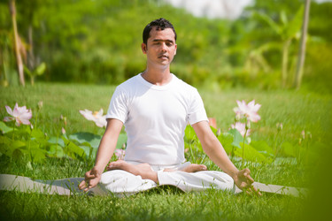 Similar image 1785341