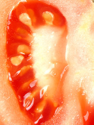 Similar image 1785419