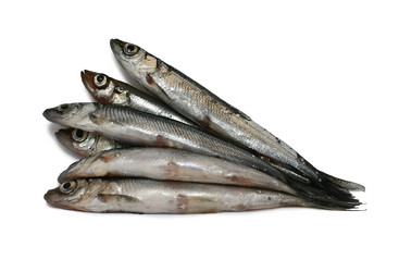 Similar image 1785445