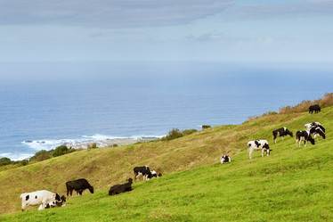 Similar image 1785537