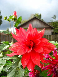 Similar image 1785545