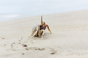 Similar image 1785558