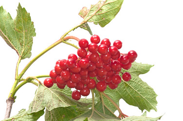 Similar image 1785601