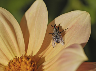 Similar image 1785604