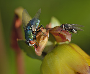 Similar image 1785606