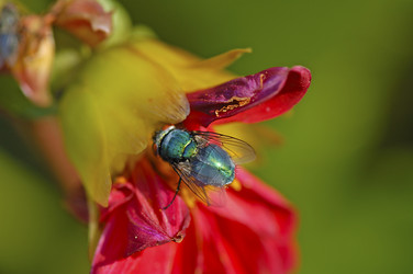 Similar image 1785607