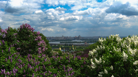 Similar image 1785613