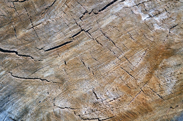 Similar image 1785630