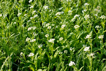 Similar image 1785631