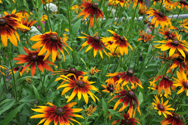 Similar image 1785635