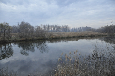 Similar image 1785684