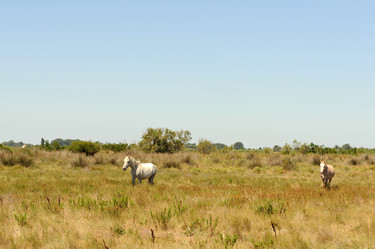 Similar image 1785766