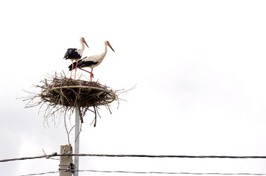 Similar image 1785767