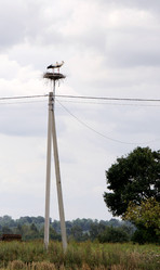 Similar image 1785768