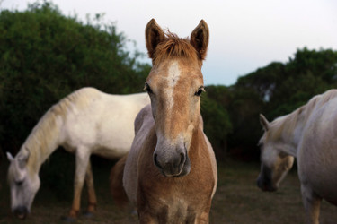 Similar image 1785776