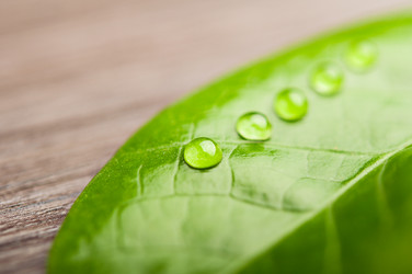 Similar image 1786031