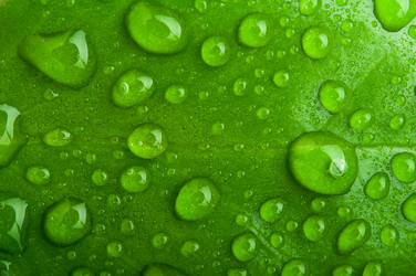 Similar image 1786064