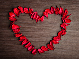 Similar image 1786089