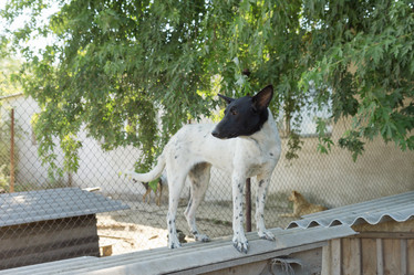 Similar image 1786117