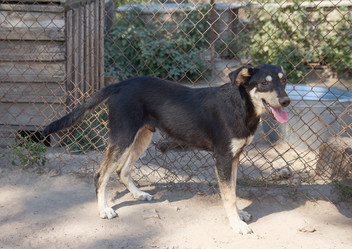 Similar image 1786118