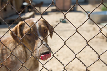 Similar image 1786119