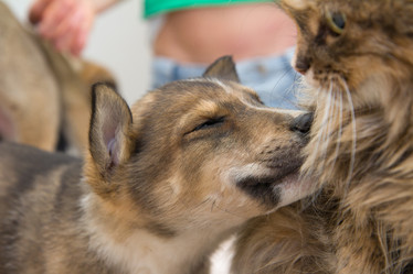 Similar image 1786121