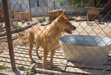 Similar image 1786122