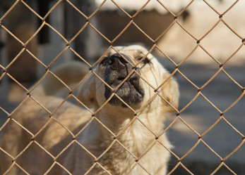 Similar image 1786124