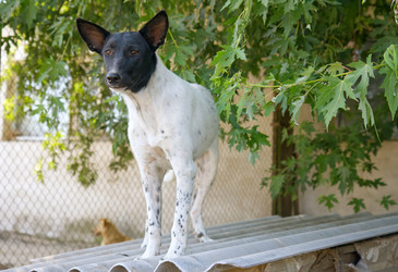 Similar image 1786125