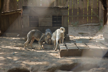 Similar image 1786127