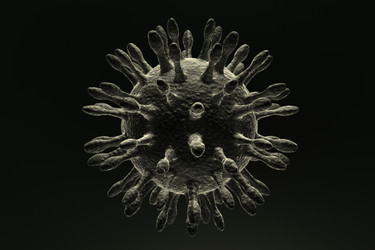 Similar image 1786413