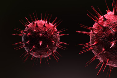 Similar image 1786414