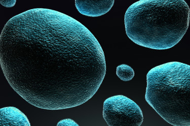 Similar image 1786420