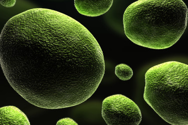 Similar image 1786422