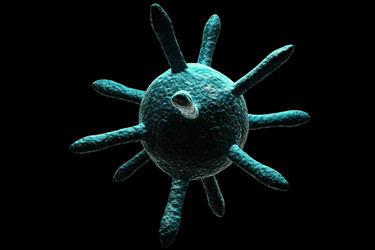 Similar image 1786435