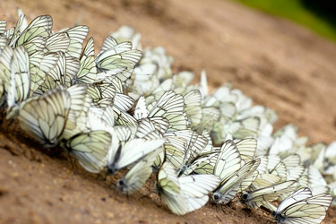 Similar image 1786495