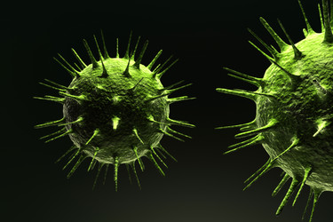 Similar image 1786572