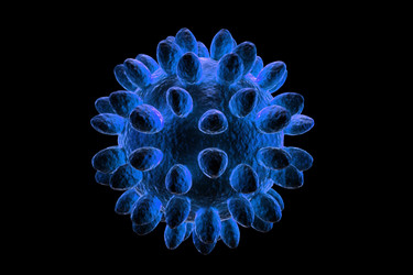 Similar image 1786597