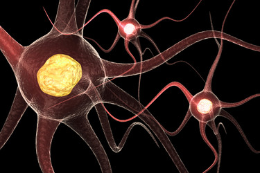 Similar image 1786602