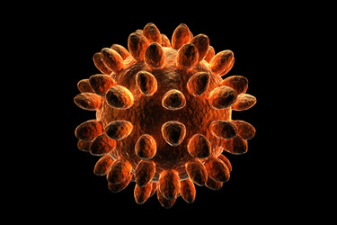 Similar image 1786606