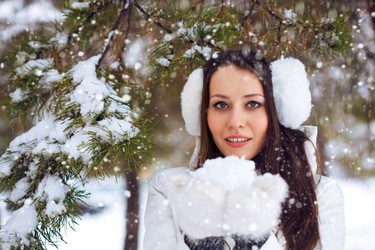 Similar image 1786631