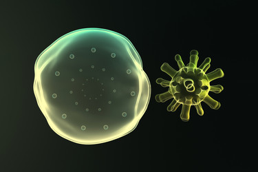 Similar image 1786666