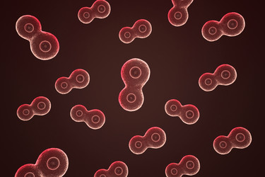 Similar image 1786667