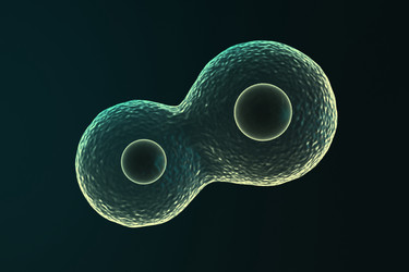 Similar image 1786670